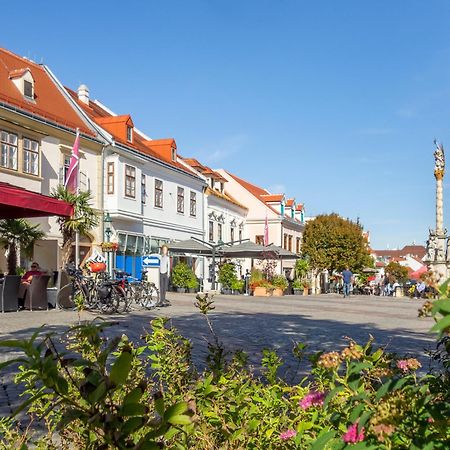 St. Antoni Suite 7 Eisenstadt Exteriér fotografie
