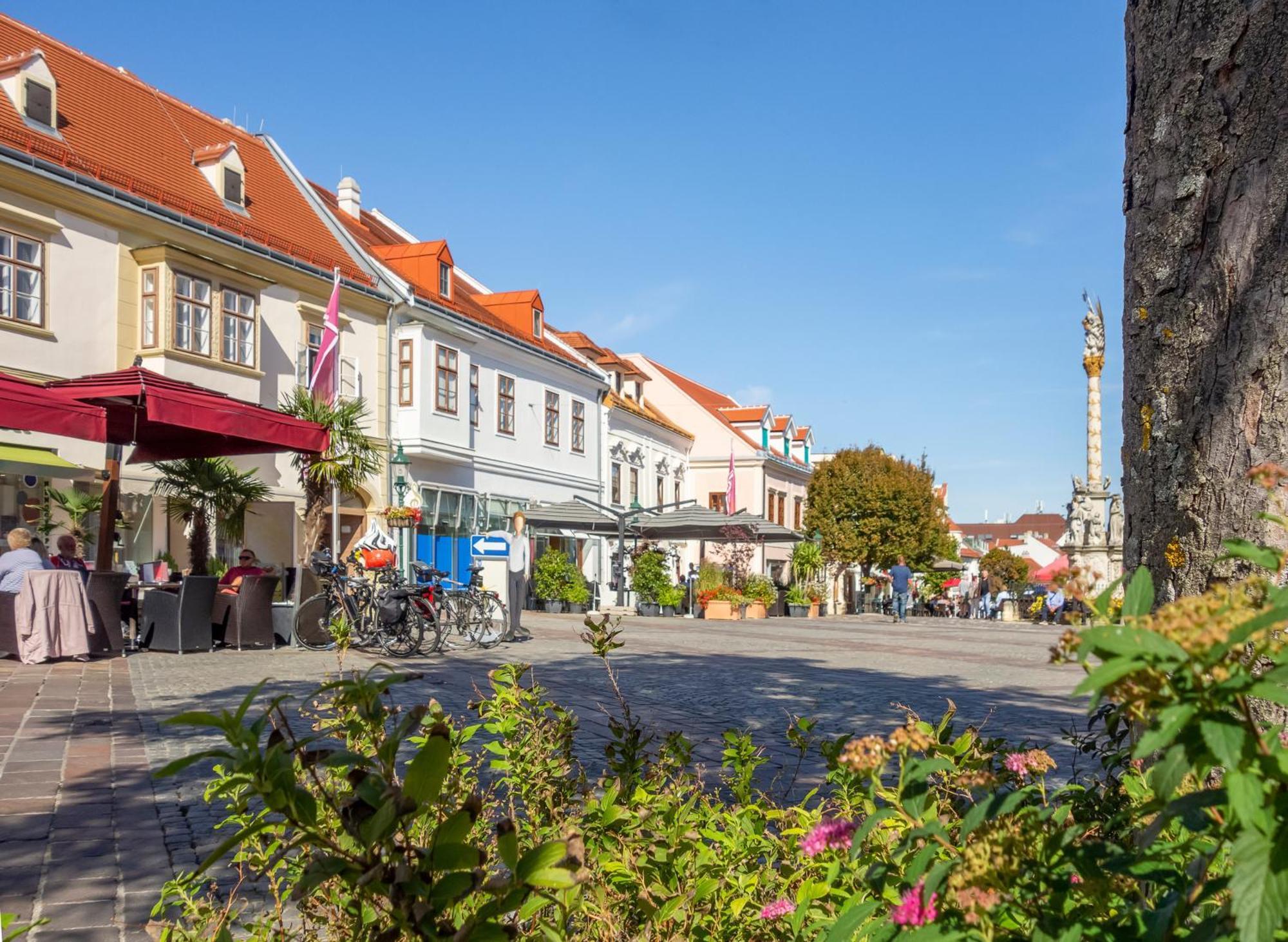 St. Antoni Suite 7 Eisenstadt Exteriér fotografie